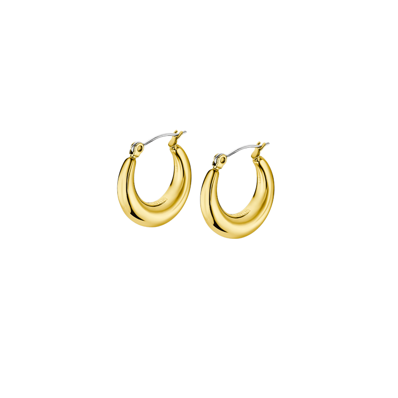 Steel Hoops Earrings Lotus...