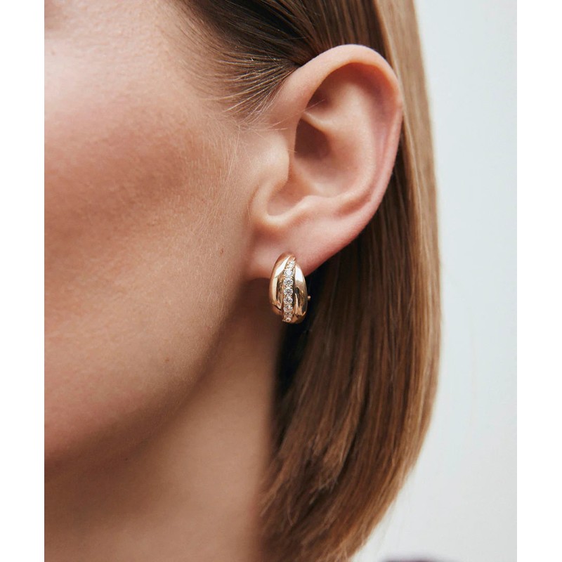 Pendientes con cierre omega...