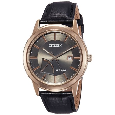 CITIZEN AW-7013-05H