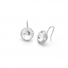 Victoria Cruz silver earrings A2521-07T