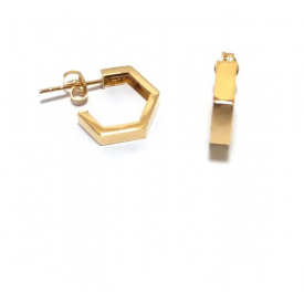 Hoops gold earrings A-C-194