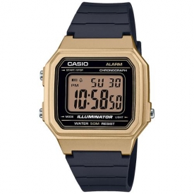 Casio watch W-217HM-9AVEF