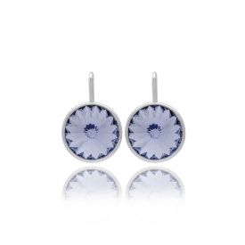 Silver earrings Victoria Cruz A2521-01T