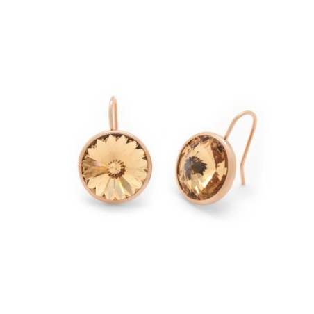 Pendientes plata Victoria Cruz A2404-02T