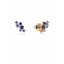 Viceroy earrings 13134E100-33