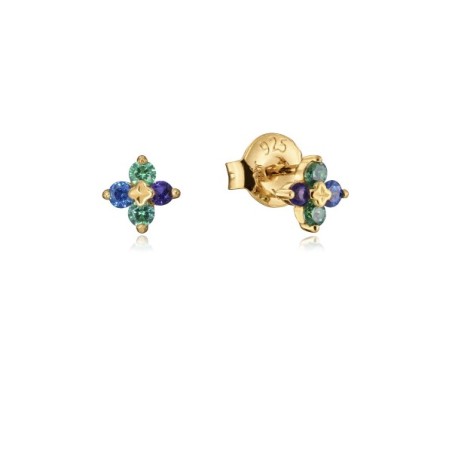 Pendientes  plata VICEROY 13136E100-33