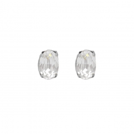 Silver earrings Victoria Cruz A4515-07HT