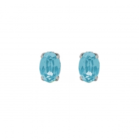 Silver earrings Victoria Cruz A4515-10HT