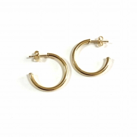 Hoops gold earrings PE03544