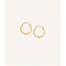 Gold plated  hoops F3290