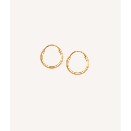 Gold plated  hoops F3290
