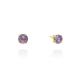 Small earring in gold and amethyst
